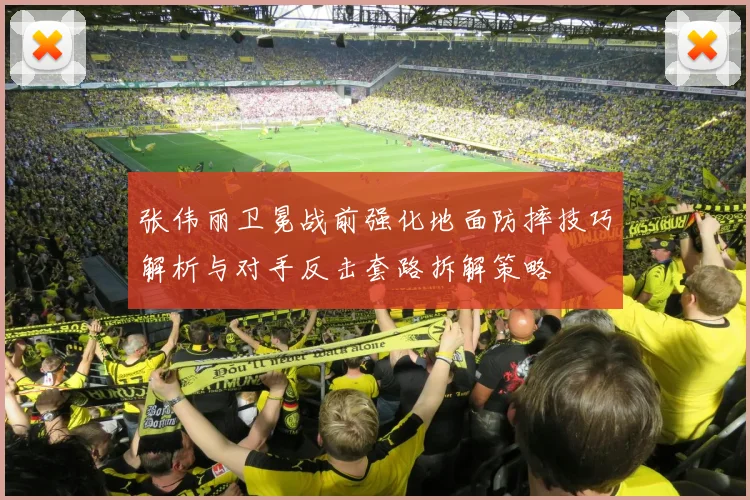 张伟丽卫冕战前强化地面防摔技巧解析与对手反击套路拆解策略